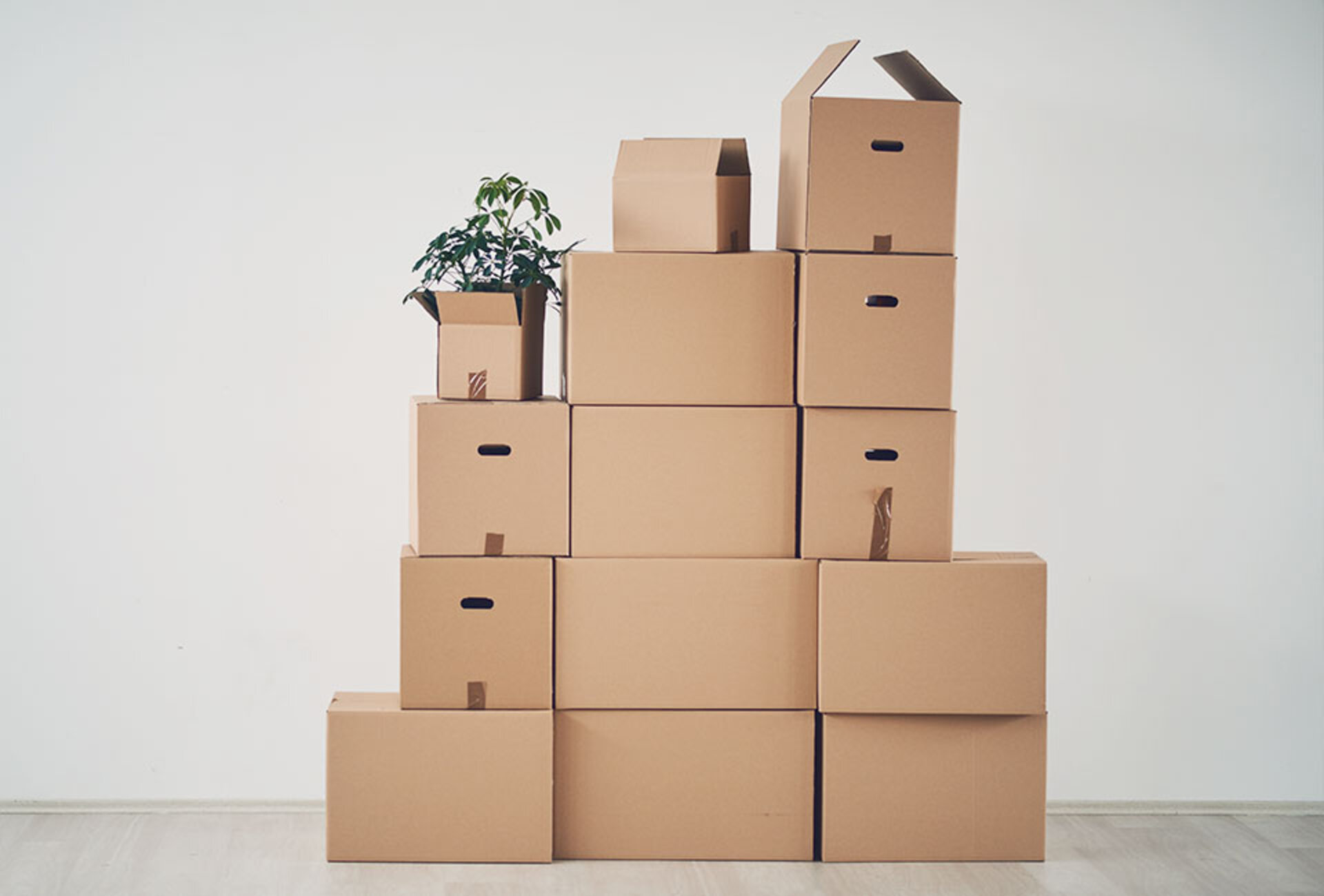 HAMMERBOX Verpackungsmaterialien – Kartons